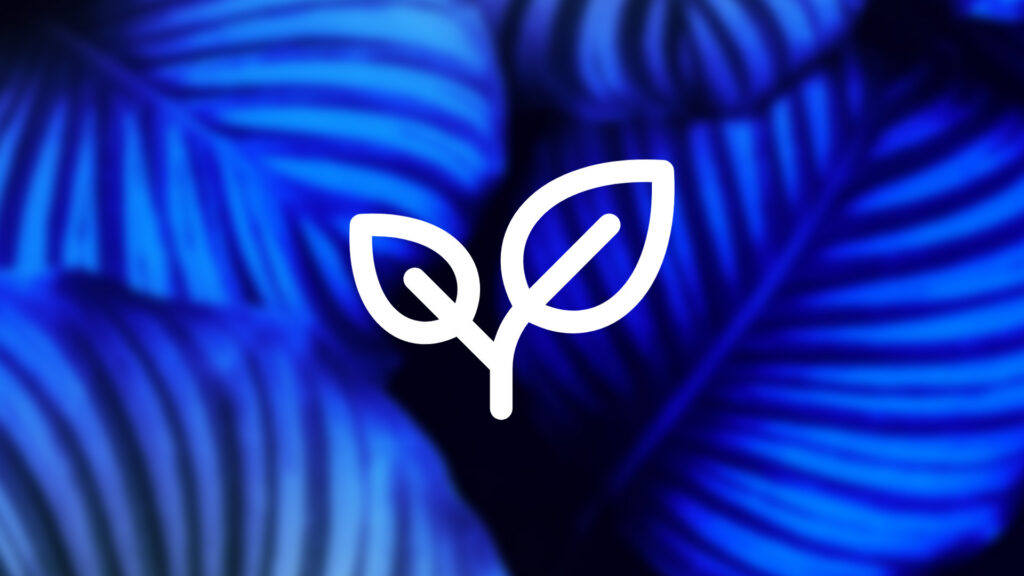 Digital Wellbeing Initiative by Niagara Launcher and the University of Augsburg